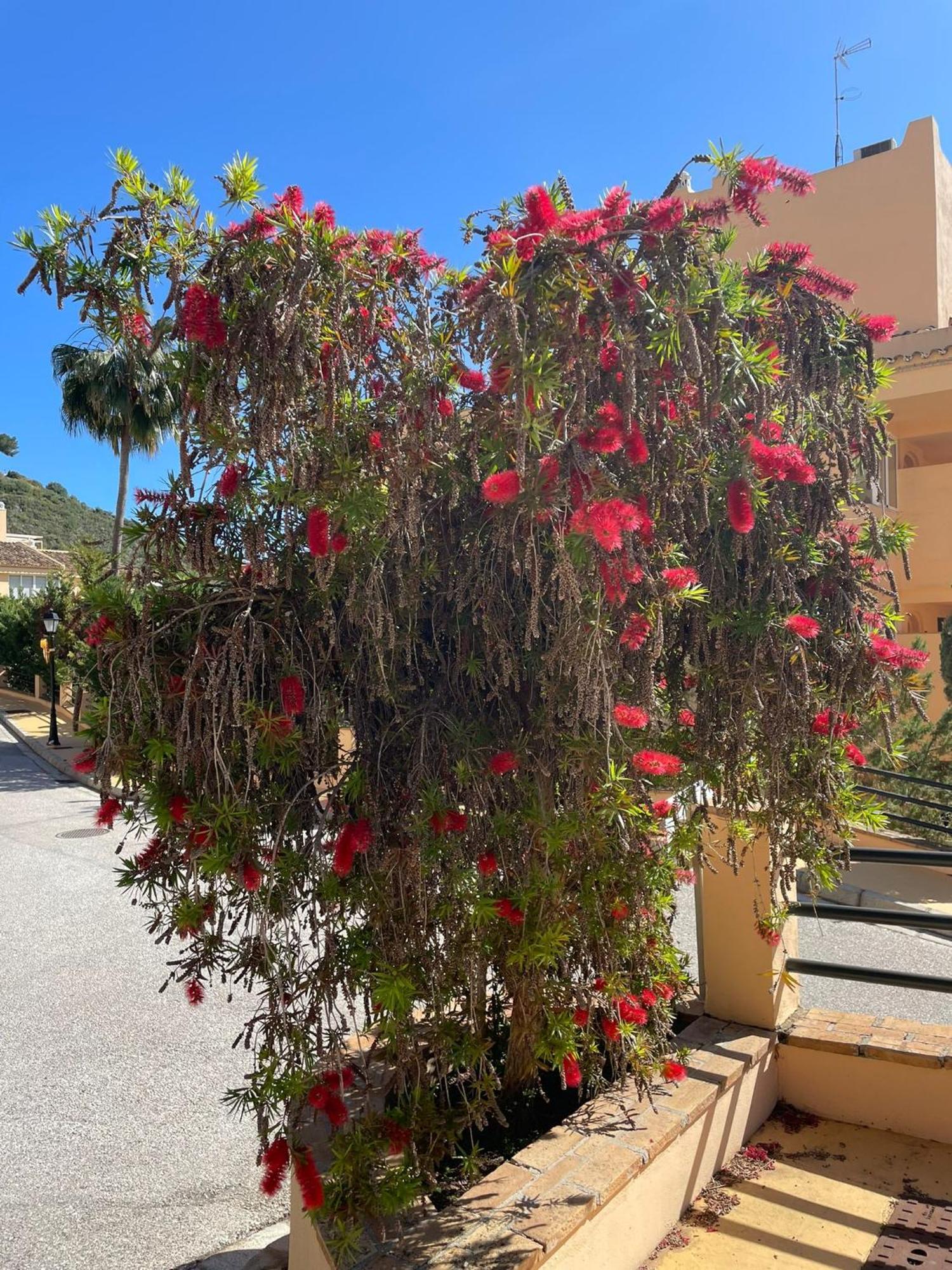 Santa Maria Village, Elviria, Marbella Kültér fotó